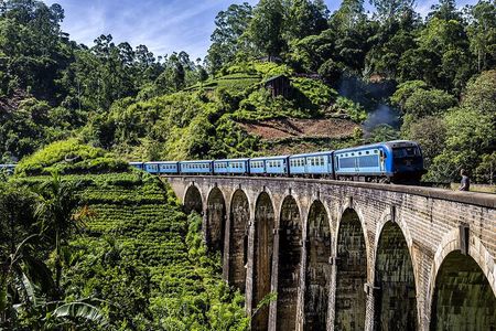Customized 11-Day Flexible Sri Lanka Tour with Private Car