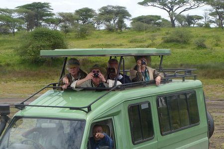 4 Days Ngorongoro & Serengeti Safari from Arusha