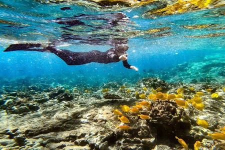 Kona's Deluxe Snorkel - Snorkel Captain Cook and Place of Refuge 