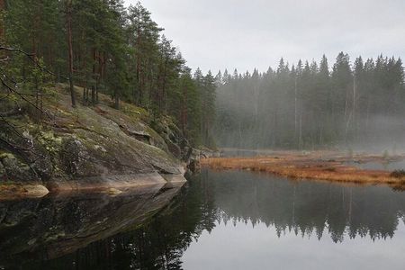 Half-Day Nature Adventure to Nuuksio National Park from Helsinki