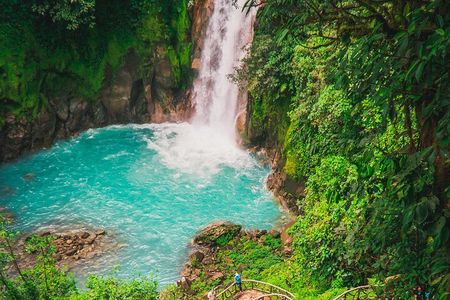 Walk in Río Celeste in Tenorio Volcano National Park