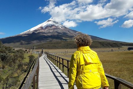 Cotopaxi Volcano full day tour with all the entrances, every day 