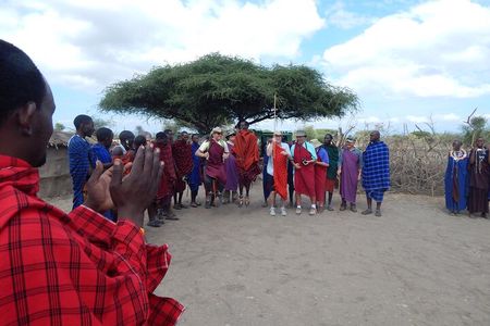 5 Days Safari to Serengeti, Ngorongoro, Tarangire from Arusha