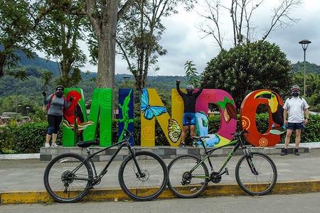 Explore Mindo Cloud Forest on a Full-Day Mountain Biking Tour