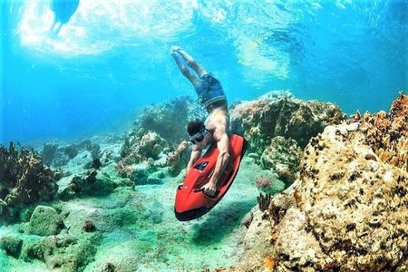 Snorkel & Seabob Reef Tour