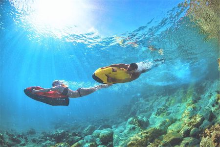 Snorkel & Seabob Reef Tour