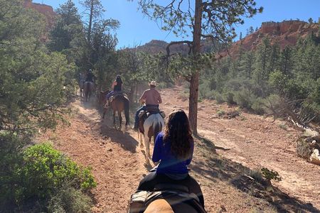 Ruby's Horseback Adventures Utah Half Day Ride