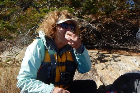 Oyster Farm & Tasting Sea Kayak Tour in Casco Bay