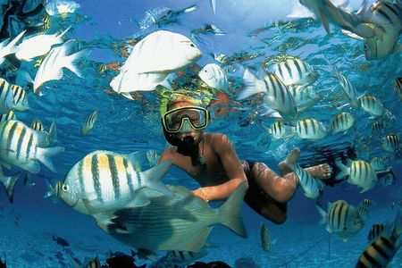 Costa Maya Snorkel Tour