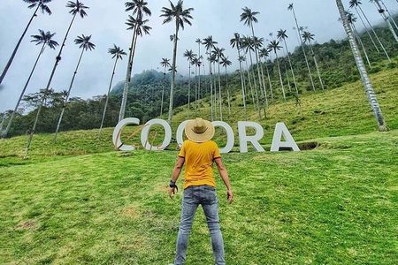Tour in the Cocora Valley short