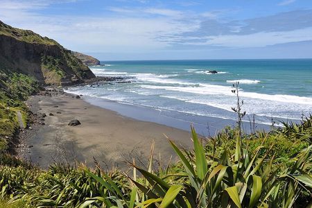 Auckland's Wild West Coast & Black Sand Beaches Tour inc Lunch