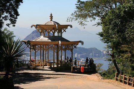 Chinese View and Tijuca Forest - Transport + Tour Guide
