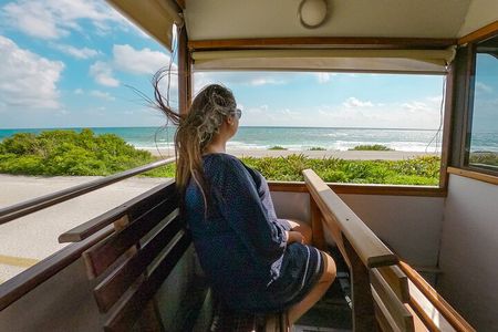 Cozumel City Tour By Trolley