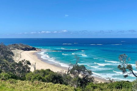 North Stradbroke Island WILDLIFE Adventure Tour from Brisbane