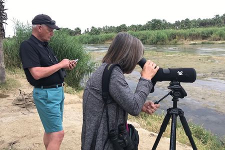 Birding San Jose Estuary Los Cabos Mexico 