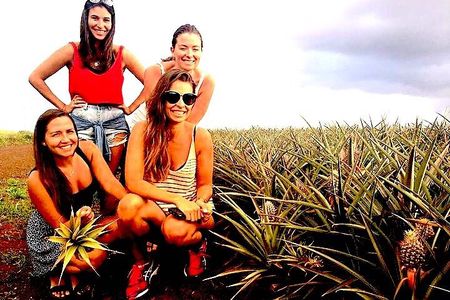 Best of Oahu Full-Day Small-Group Island Tour