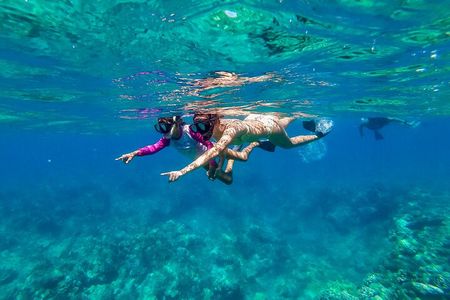 Big Island Snorkel Cruise from Waikoloa
