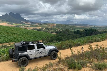 Full Day Stellenbosch Wine Tour