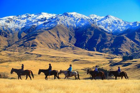 Cardrona High Country Pub Trail Horse Trek (Intermediate level+)
