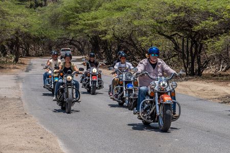 Harley-Davidson Guided Island Tours