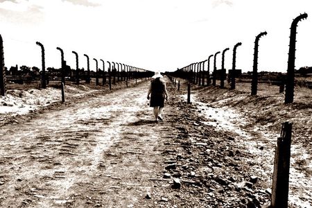Auschwitz-Birkenau: private or group & Schindler's Factory option