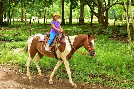 Horseback Riding and Natural Swimming Pools / Jacó Beach