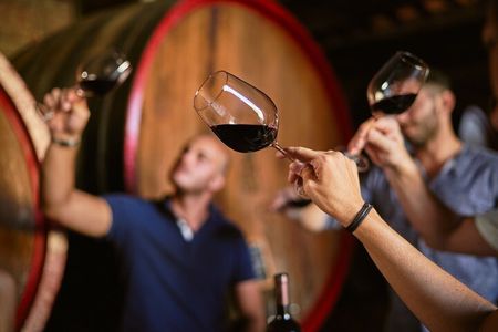 Complete tasting of Castello di Bossi