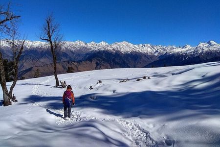 5 Days Kedarkantha Trek