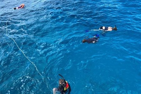 Private Catamaran Cruise and Snorkeling Tour in Honolulu