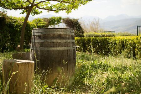 Petimezi and Moustalevria Private Tasting