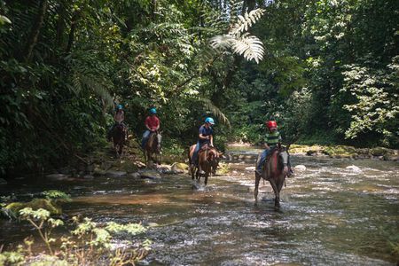 Sarapiqui Forest Horseback Riding Experience in Costa Rica