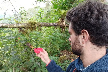 Private Full-Day Mindo Cloud Forest,Butterfly Farm, Chocolate Tour bird watching