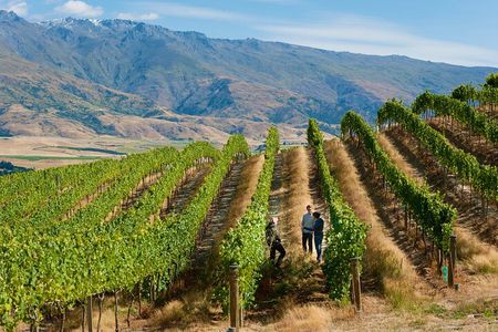 Premium Queenstown Wine Tour All-Inclusive Tour