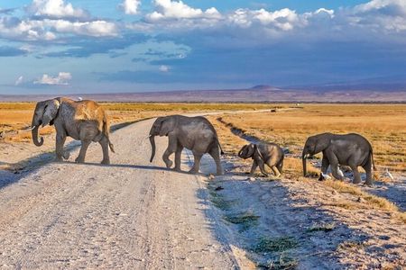 3 Day Amboseli Safari