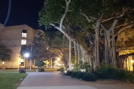 Haunted History of Fort Myers Walking Tour