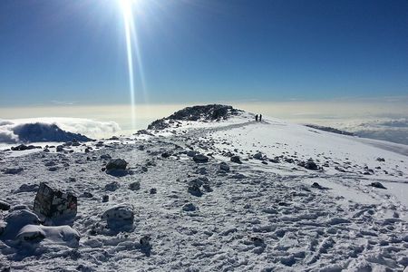 Climb Mt kilimanjaro Rongai Route 8Days/7Nights