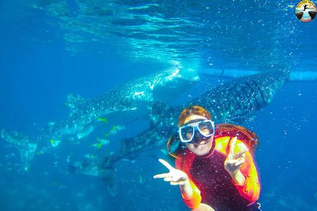 Whale Shark Swimming, Tumalog Falls and Kawasan Canyoneering