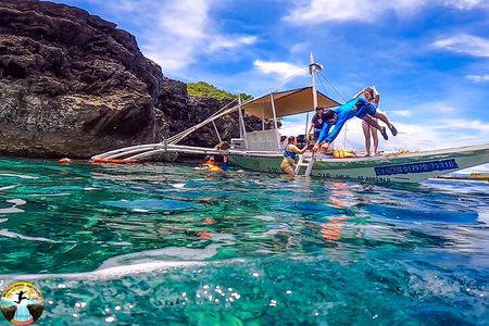 Moalboal Island Hopping (Pescador Island, Sardines and Turtles)