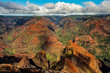Waimea Canyon Private Tour with Local Guide from Kauai