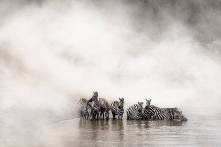 7-Day Safari to Maasai Mara, Lake Naivasha and Amboseli from Nairobi