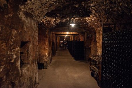 Reims afternoon tour Champagne and family growers