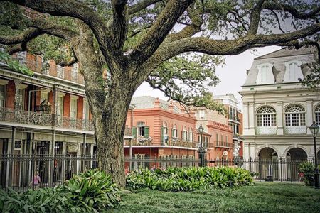 New Orleans Private Custom City Tour with St. Louis Cemetery No 3