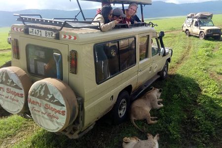 Ngorongoro Crater Full Day Tour