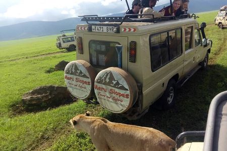7-Day Group Camping Tarangire/Serengeti/Ngorongoro/lake Manyara