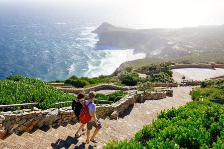 Cape Point and Boulder's Penguins Full Day Tour