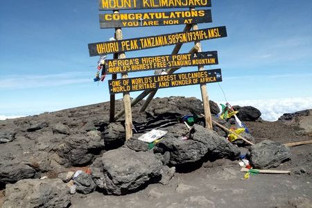 Private Day Tour and Hike in Kilimanjaro National Park
