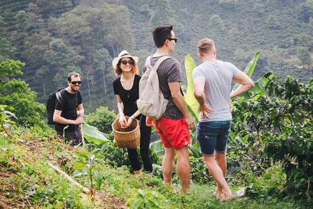 Private : Village walk, Waterfalls, Coffee tour & Local Lunch