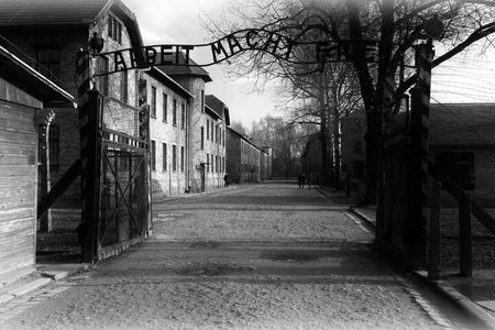 Auschwitz & Birkenau Museum Guided Tour from Krakow with Tickets