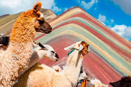 4-Day Machupicchu and Rainbow Mountain Guided Tour