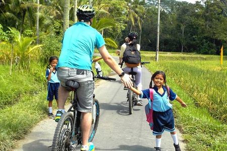 Tetebatu Cycling Tour: Ricefields, Monkey Forest, & Bamboo Craft